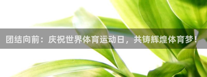 k1体育 十年品牌