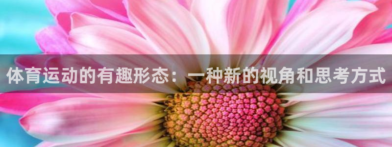 k1体育网址：体育运动的有趣形态：一种新的视角和思考方式