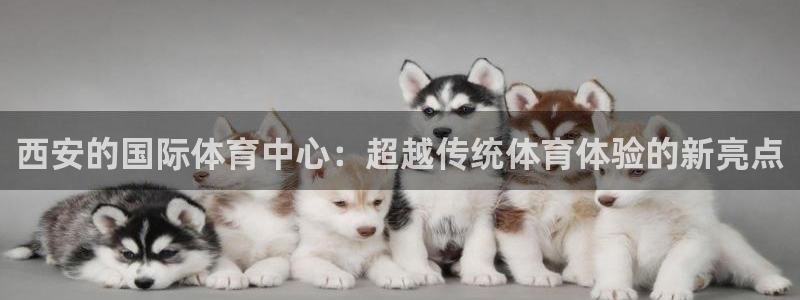 k1体育入口：西安的国际体育中心：超越传统体育体验的新亮点