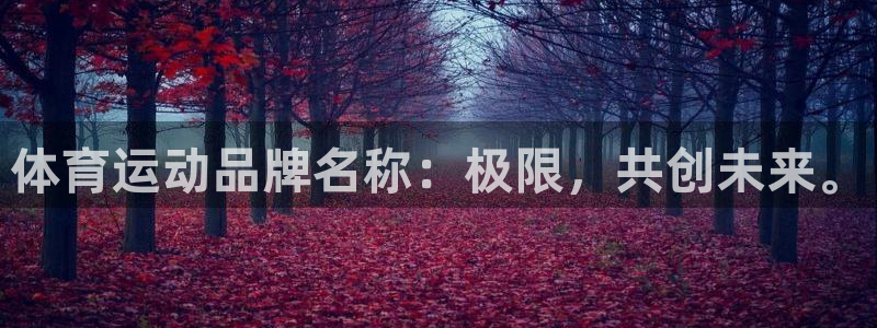 k1体育平台最新网站下载：体育运动品牌名称：极限，共创未来。