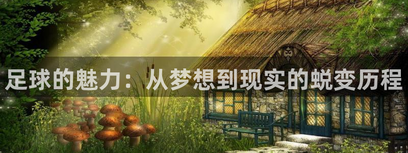 k1体育app官网登录入口：足球的魅力：从梦想到现实的蜕变历程
